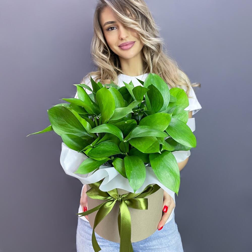 Рускус в коробке