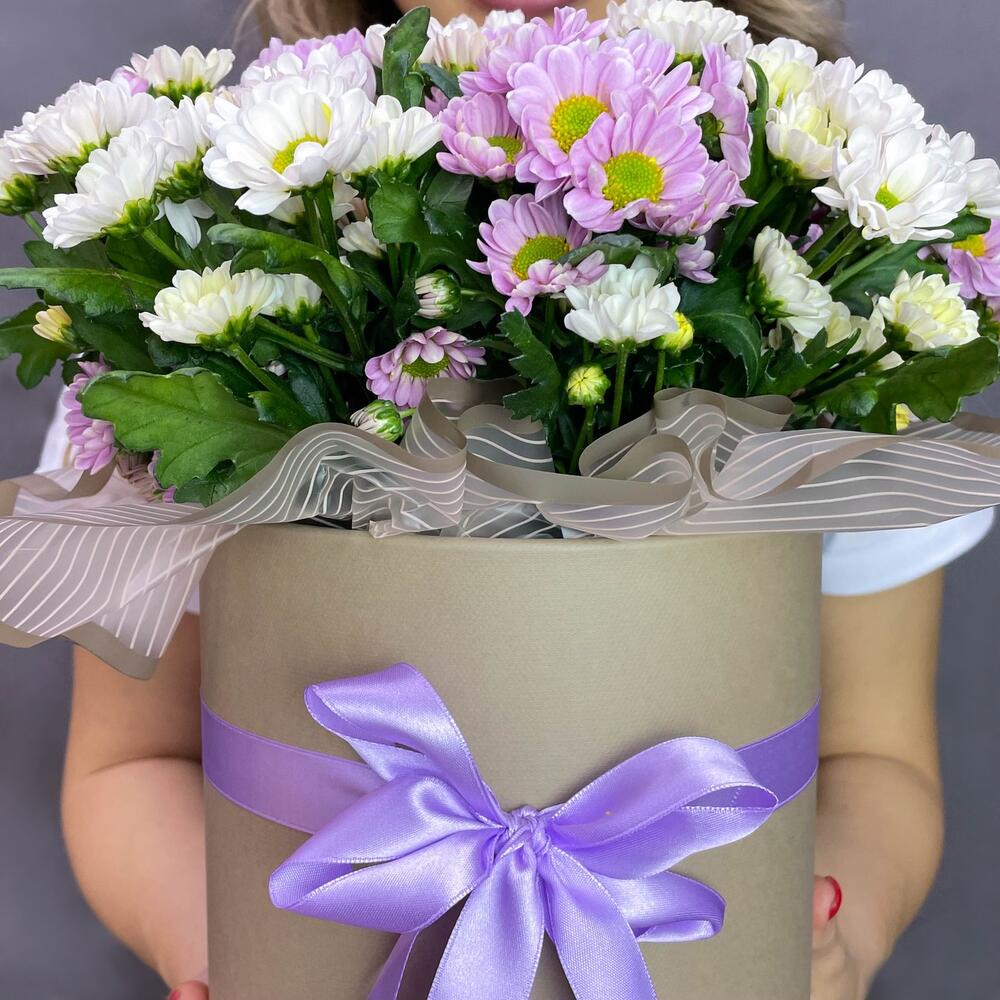 Сантини Микс в коробке