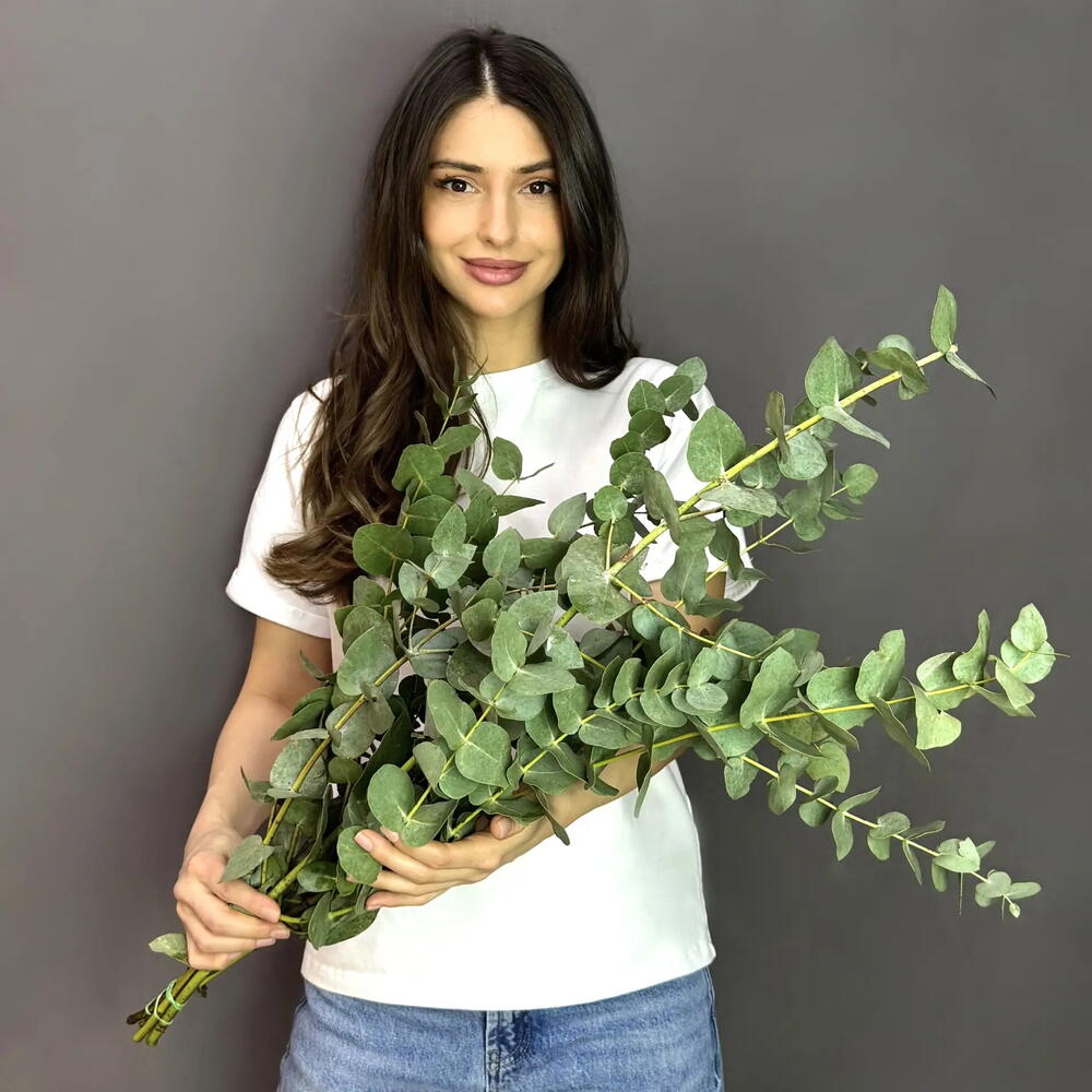 Пачка (10 штук) Эвкалипт